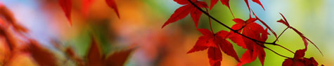 Health and Healing Health and Healing